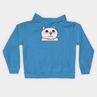 cat take a selfie Kids Hoodie